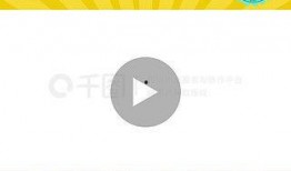 媒体爆料素材视频网站,媒体爆料背后的真相与争议